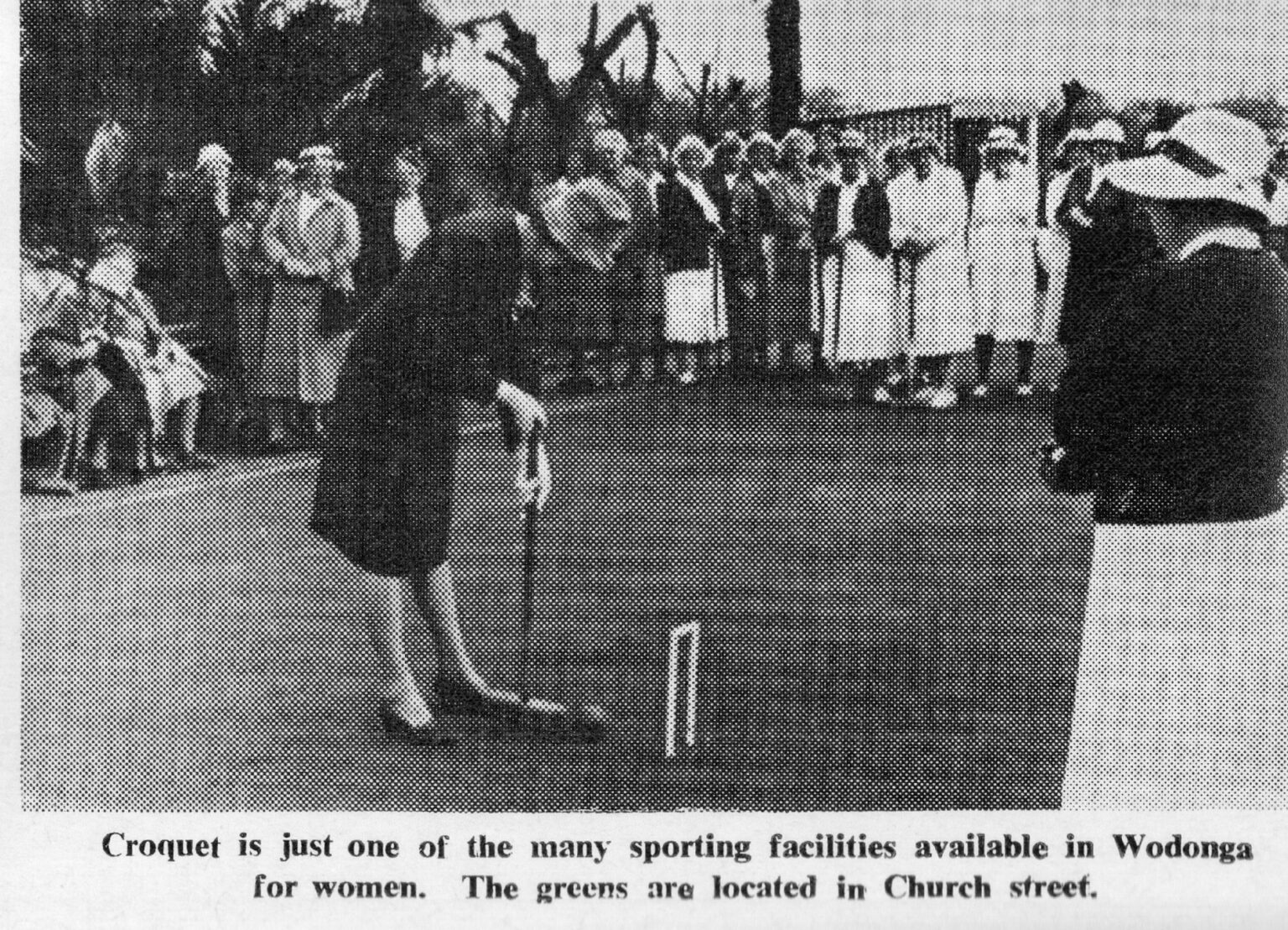 Club History Wodonga Croquet Club