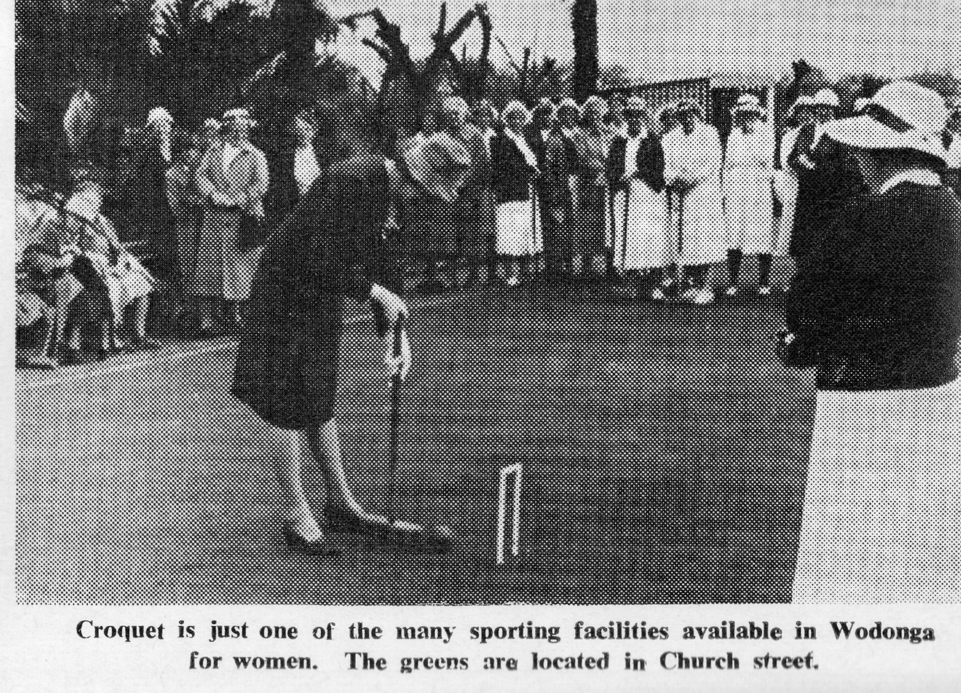 Club History Wodonga Croquet Club